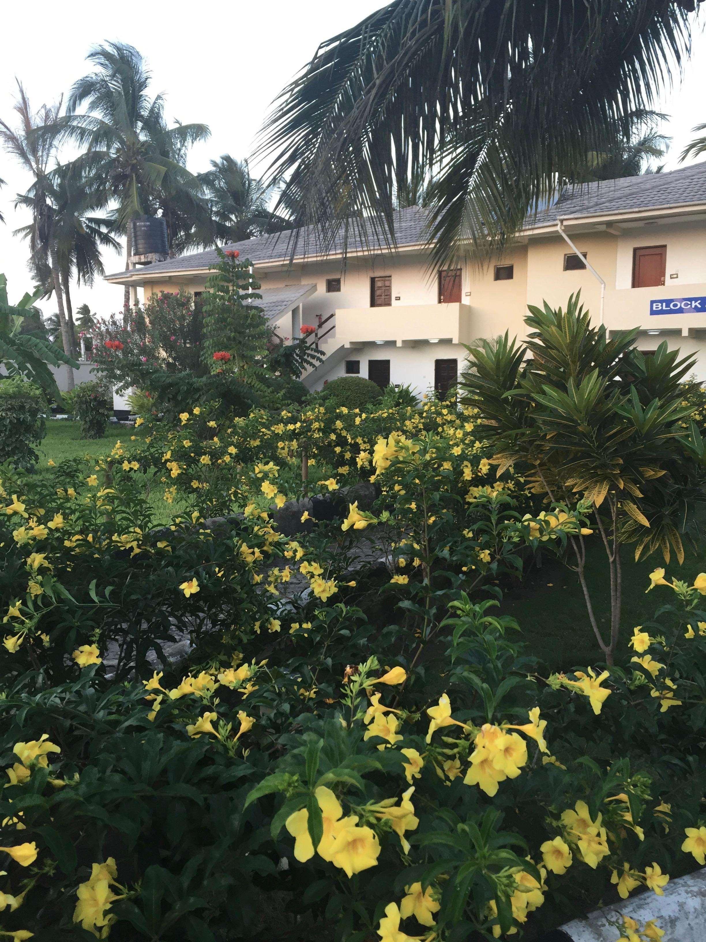 Oceanic Bay Hotel & Resort Bagamoyo Εξωτερικό φωτογραφία