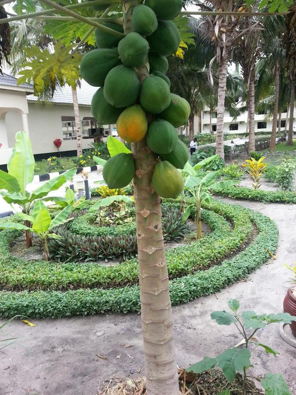 Oceanic Bay Hotel & Resort Bagamoyo Εξωτερικό φωτογραφία