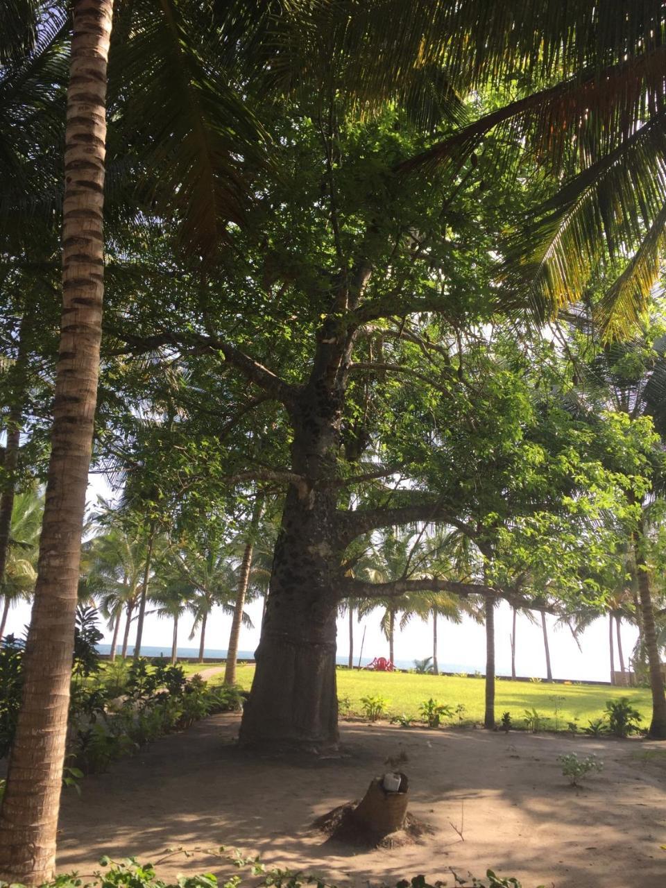 Oceanic Bay Hotel & Resort Bagamoyo Εξωτερικό φωτογραφία